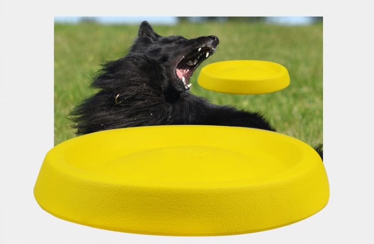 Pet Voice Plush Toys - Engaging and Durable Playtime Set