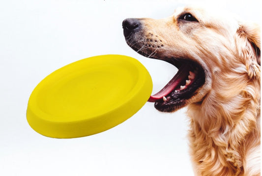 Pet Voice Plush Toys - Engaging and Durable Playtime Set
