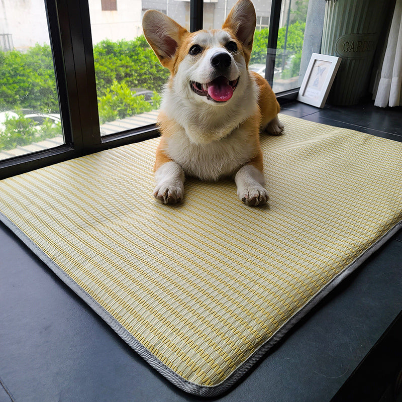 Dog Mat Sleeping with Pet Mat - Summer Anti-Bite Mattress