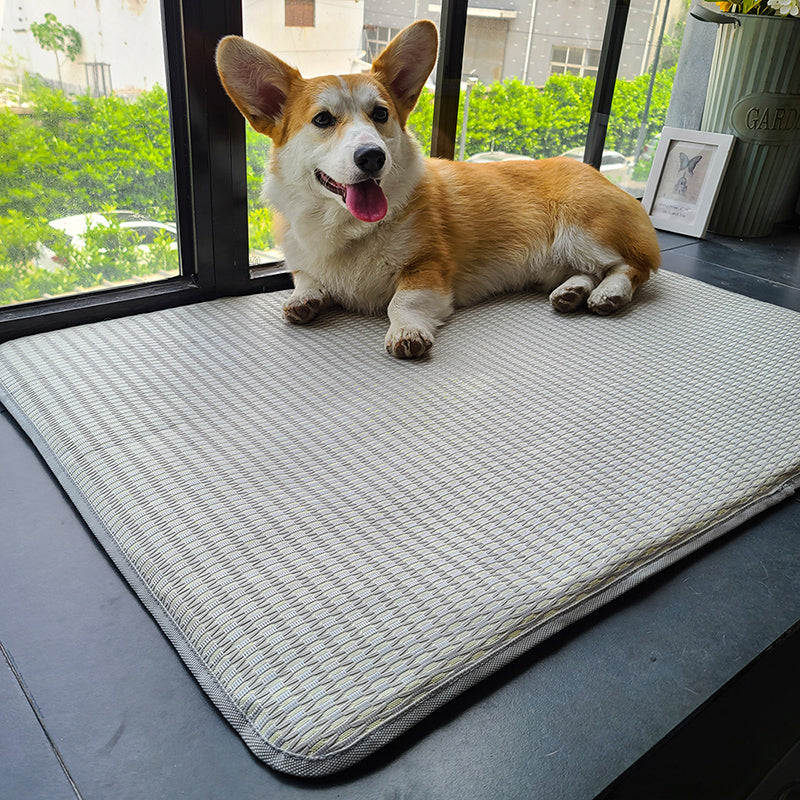 Dog Mat Sleeping with Pet Mat - Summer Anti-Bite Mattress