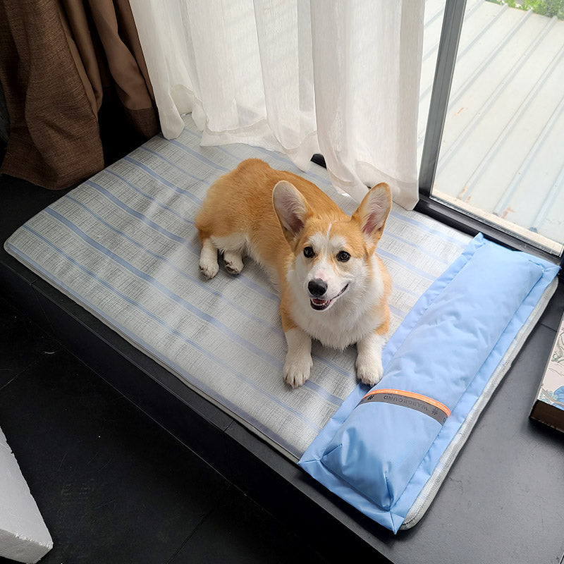 Dog Mat Sleeping with Pet Mat - Summer Anti-Bite Mattress