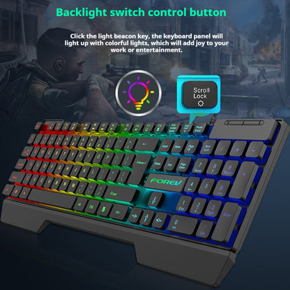 Wired Luminous Keyboard - Desktop and Notebook Computer Accessory