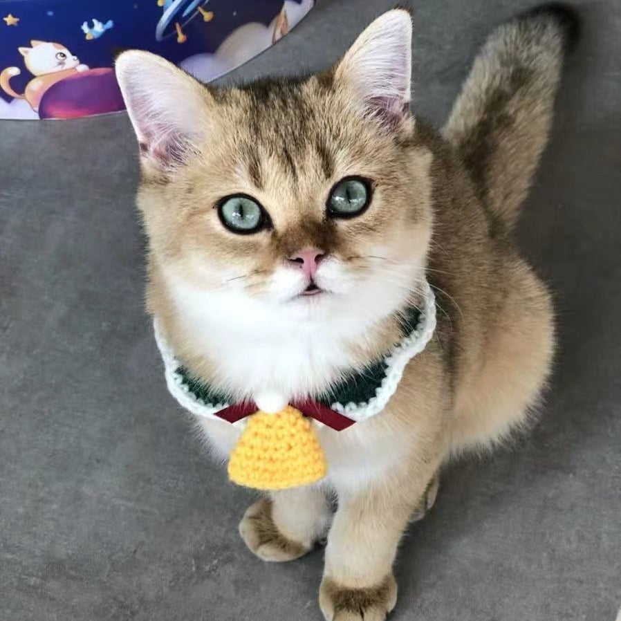 Wool Pet Collar - Hand Woven Christmas Pet Accessories