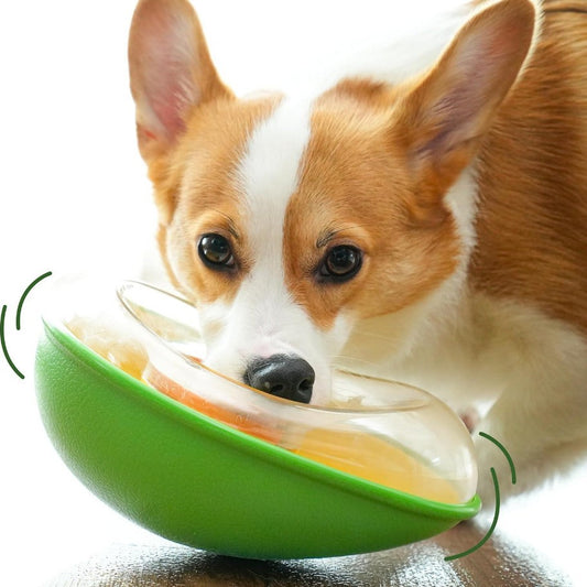 Anti-Tumble Avocado Pet Feeding Bowl - Stylish and Functional Design